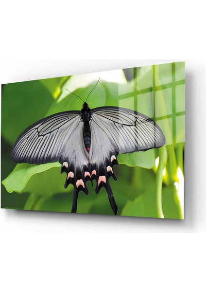 Doğa, Manzara 3d Dekoratif Baskı Yatay Cam Tablo 01