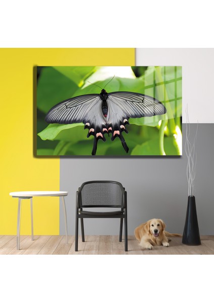 Doğa, Manzara 3d Dekoratif Baskı Yatay Cam Tablo 01 fiyatları