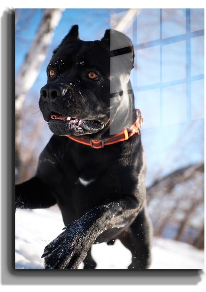 Eğlenceli Hayvanlar, Yapay Zeka Destekli, 3D Dekoratif Baskı Cam Tablo 53