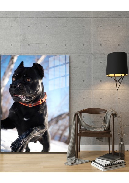 Eğlenceli Hayvanlar, Yapay Zeka Destekli, 3D Dekoratif Baskı Cam Tablo 53 modelleri