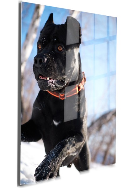 Eğlenceli Hayvanlar, Yapay Zeka Destekli, 3D Dekoratif Baskı Cam Tablo 53 indirimleri