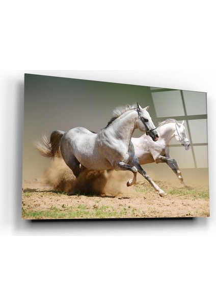 At Cam Tablo | Hediyelik, Dekoratif, Ofis, Mutfak