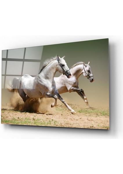 At Cam Tablo | Hediyelik, Dekoratif, Ofis, Mutfak fiyatları