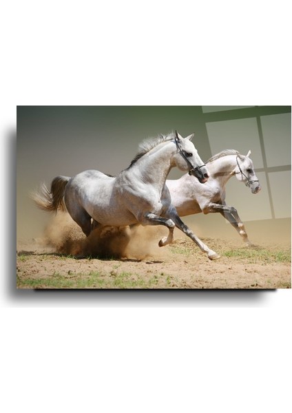 At Cam Tablo | Hediyelik, Dekoratif, Ofis, Mutfak modelleri