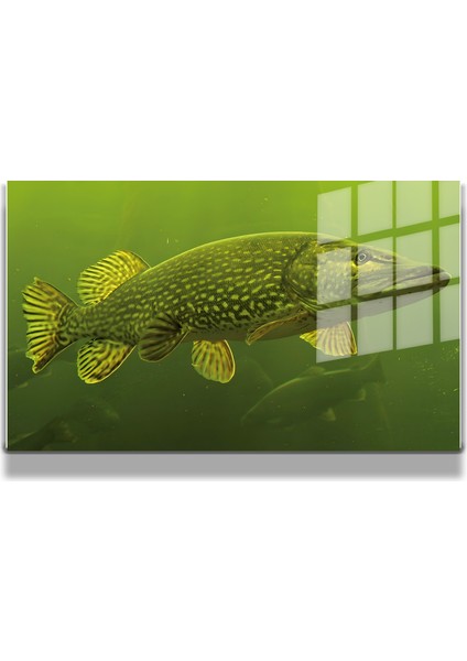 Harita/maps 3D Dekoratif Baskı Cam Tablo 83