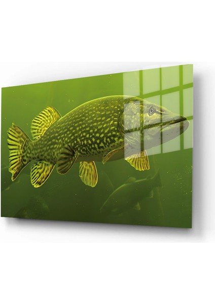 Harita/maps 3D Dekoratif Baskı Cam Tablo 83 fiyatları