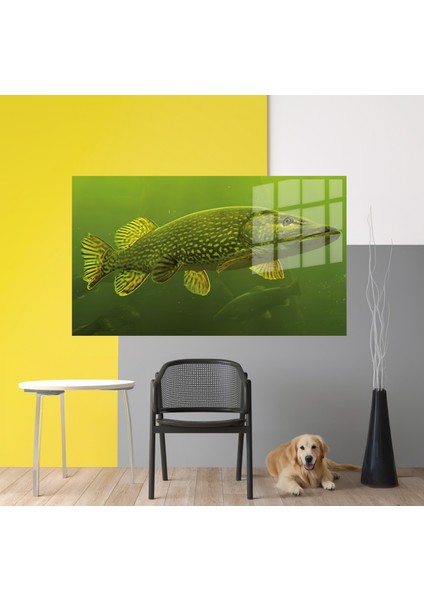 Harita/maps 3D Dekoratif Baskı Cam Tablo 83 modelleri