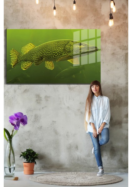 Harita/maps 3D Dekoratif Baskı Cam Tablo 83 fırsatları