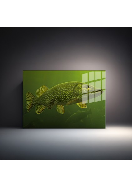 Harita/maps 3D Dekoratif Baskı Cam Tablo 83 indirimleri