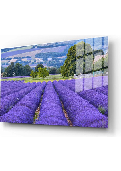 Dekoratif Doğa, Manzara Cam Tablolar, 3D Dekoratif Baskı 105