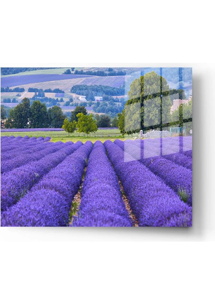 Dekoratif Doğa, Manzara Cam Tablolar, 3D Dekoratif Baskı 105