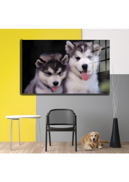 Eğlenceli Hayvanlar, Yapay Zeka Destekli, 3d Dekoratif Baskı Yatay Cam Tablo 177