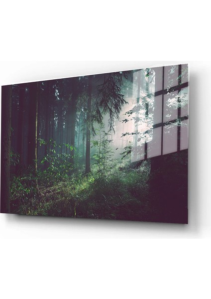 Dekoratif Doğa, Manzara Cam Tablolar, 3d Dekoratif Baskı 76 - 30 X 40