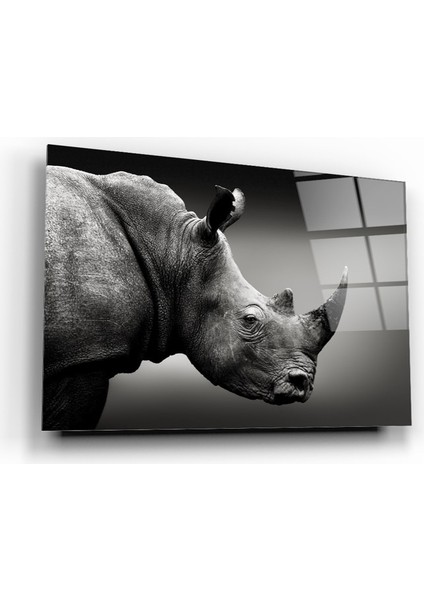 Gergedan Cam Tablo | , Dekoratif, Ofis, Mutfak