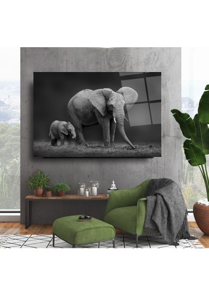 Fil Ve Yavru Fil Cam Tablo | , Dekoratif, Ofis, Mutfak indirimleri