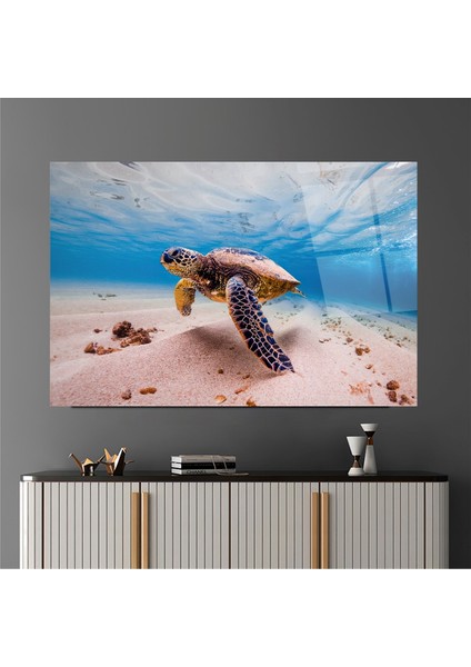 Deniz Kaplumbağası Cam Tablo | , Dekoratif, Ofis, Mutfak fırsatları