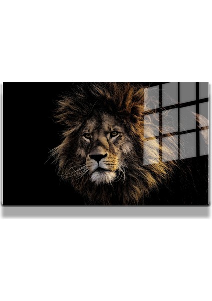 Eğlenceli Hayvanlar, Yapay Zeka Destekli, 3d Dekoratif Baskı Yatay Cam Tablo 58