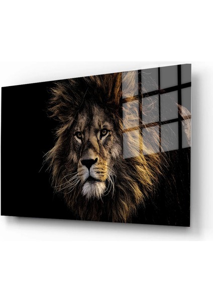 Eğlenceli Hayvanlar, Yapay Zeka Destekli, 3d Dekoratif Baskı Yatay Cam Tablo 58 fiyatları