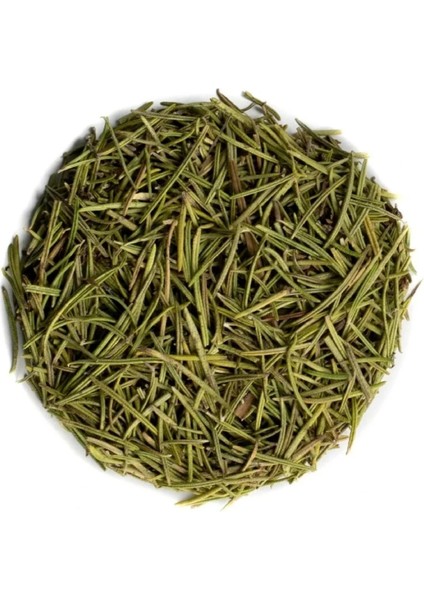 Biberiye ( Rosmarinus Officinalis ) 100G