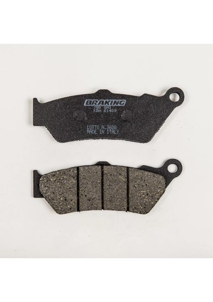 Harley Davıdson Special 1250 (2021-2022) Karbon Seramik Arka Fren Balatası