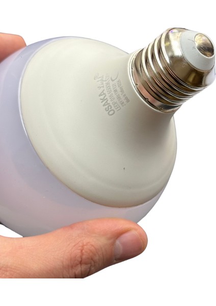 15W (100W) 6500K (Beyaz Işık) E27 Duylu G95 LED Glop Ampul (8 Adet)