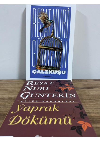 Reşat Nuri Güntekin Klasikler 2li Set