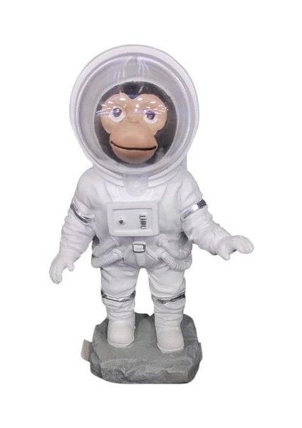 LLM-HDY0351 Astronot Maymun Biblo