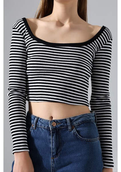 Kare Yaka Uzun Kol Çizgili Crop