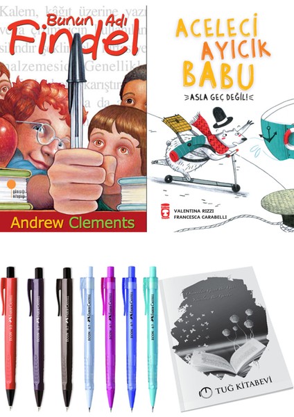 Aceleci Ayıcık Babu Asla Geç Değil ve Bunun Adı Findel 2'li Set - Kalem