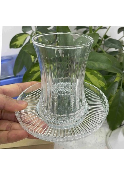 Elysia Çay Bardağı Riva Çay Tabak Seti 12 Parça fiyatları