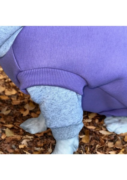Köpek Kıyafeti Sweat Polarlı Sweatshirt