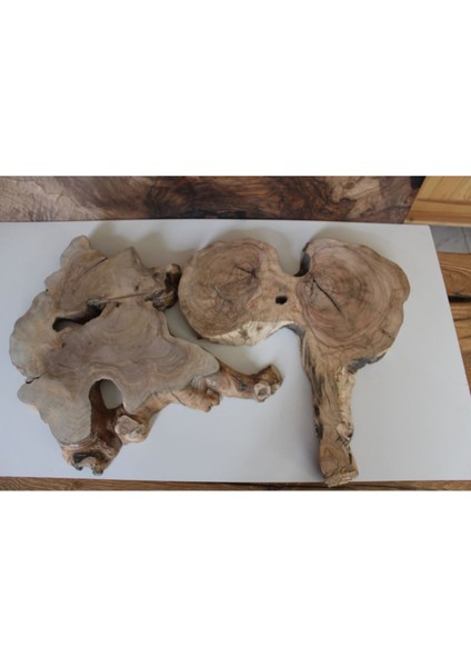 Kahverengi ahşap zeytin ağacı levhası, 15x19 cm, şık ve doğal dekoratif parça