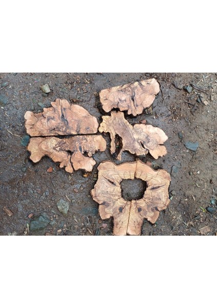 Kahverengi ahşap zeytin ağacı levhası, 15x19 cm, şık ve doğal dekoratif parça fiyatları