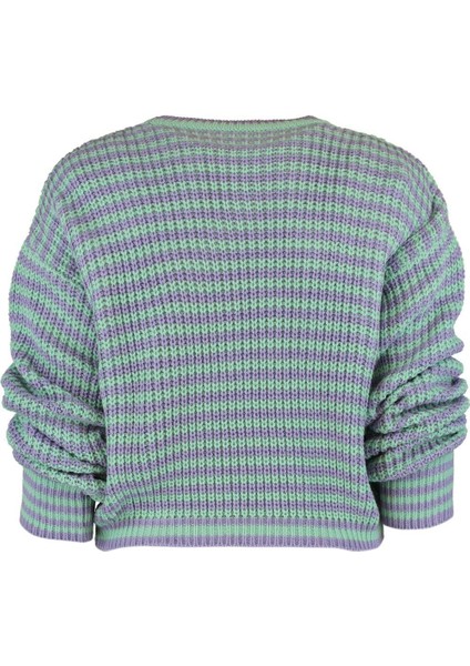 Stil Modern Kadın Crop Standart Kol Bisiklet Yaka Çizgili Triko Kazak modelleri