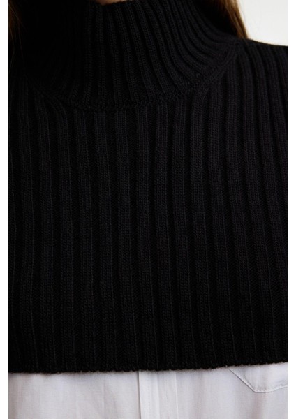 Stil Modern Kadın Crop Standart Kol Dik Yaka Balıkçı Yaka Triko Süveter