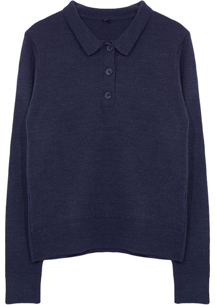 Stil Modern Kadın Regular Standart Kol Polo Yaka Yünlü Triko Kazak modelleri