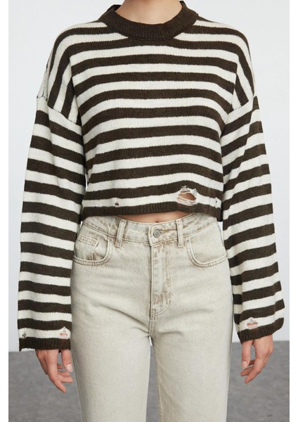Stil Modern Kadın Regular Standart Kol Bisiklet Yaka Yumuşak Dokulu Crop Triko Kazak modelleri