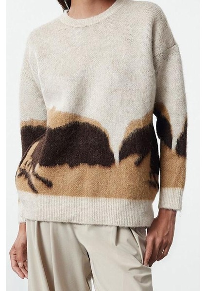 Stil Modern Kadın Regular Standart Kol Bisiklet Yaka Yumuşak Dokulu Renk Bloklu Triko Kazak fiyatları