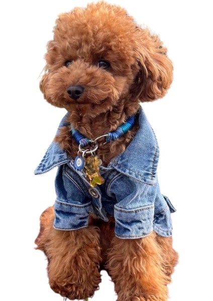 ZIGGYDOG Köpek Kıyafeti Kot Mont Ceket