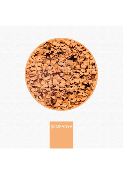 Şampanya Glitter Elmas Kesim 3 Boyutlu Epoksi-Nail Art-Makyaj Süsleme Pulu