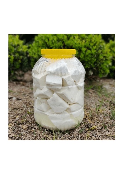 Salamura Yağlı Inek Peyniri (Brüt: 4 kg Net: 3 Kg)