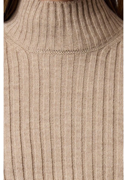 Stil Modern Kadın Crop Standart Kol Dik Yaka Balıkçı Yaka Triko Süveter