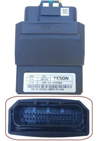 Lavinia 125 Ecu Beyin Orj