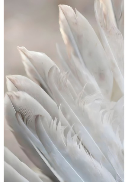 Kırılmaz Cam (Temperli) Soft Renkler Çiçek Tablosu 07 fırsatları