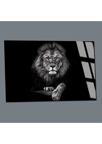 Kırılmaz Cam (Temperli) Siyah-Beyaz Aslan Tablosu 09 modelleri