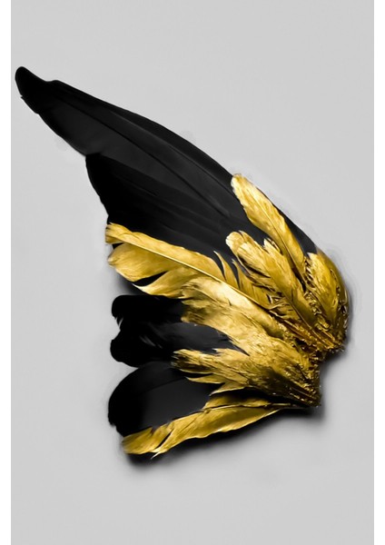 Beyaz Siyah Gold Soft Kanat Tüy Seti Çerçeveli Cam Tablo 3'lü modelleri