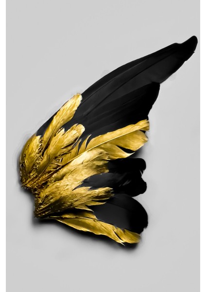 Beyaz Siyah Gold Soft Kanat Tüy Seti Çerçeveli Cam Tablo 3'lü fırsatları