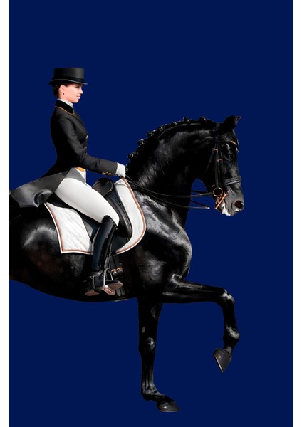 Saks Mavisi Siyah Beyaz Kadın Jokey Kombin Çerçeveli Cam Tablo 2'li fiyatları