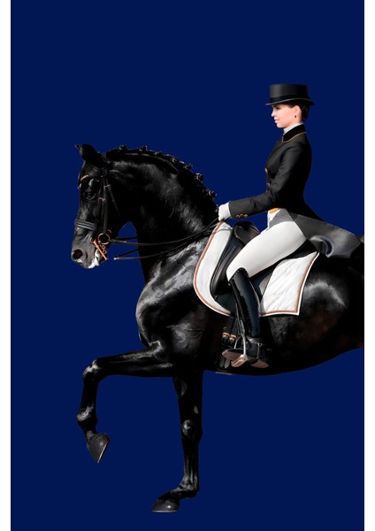 Saks Mavisi Siyah Beyaz Kadın Jokey Kombin Çerçeveli Cam Tablo 2'li modelleri