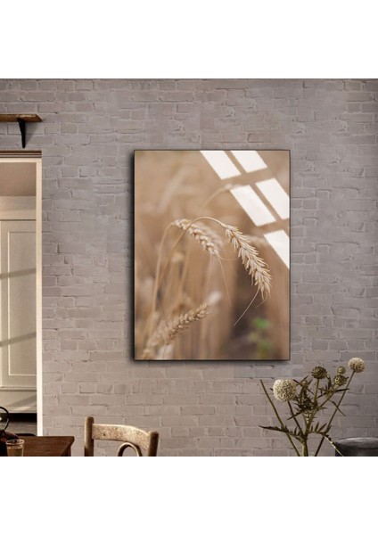 Kırılmaz Cam (Temperli) Soft Buğday Tablosu 01 fiyatları